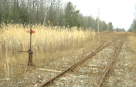 Old Alabaster MI trackage